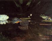 温斯洛荷默 - Mink Pond